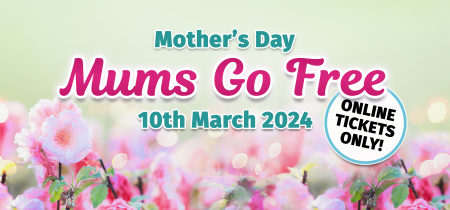 Mother's Day 10th March 2024