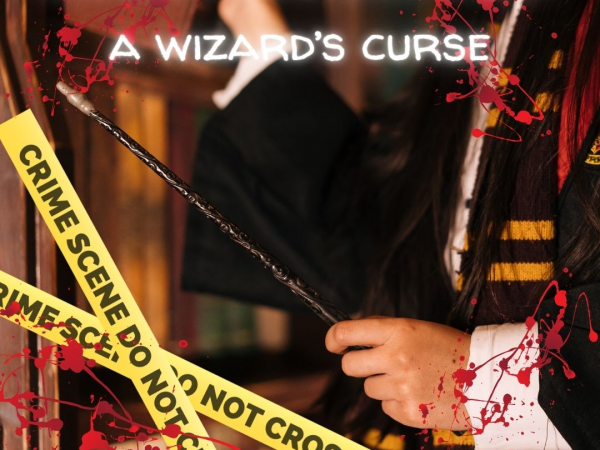 Murder Mystery Night - The Wizards Curse - Fri 12th September