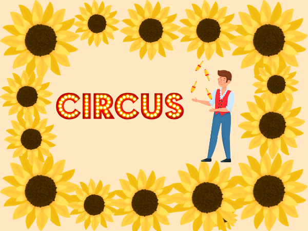 Saturday 29th Aug - The Sunset Festival with Circus Skills Workshop