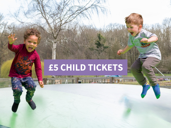 4 Week Family Frenzy - £5.00 Per Child Per Day