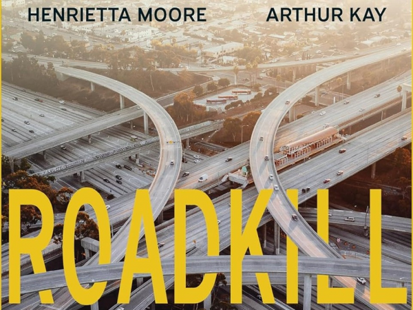 Book cover for 'Roadkill' by Henrietta Moore and Arthur Kay: A large motorway junction from above.