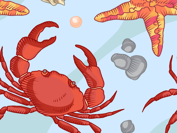Family Drop-in Activity - 13 August - Poole Harbour Creature Creations!