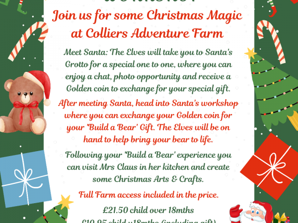 Colliers Christmas Workshop