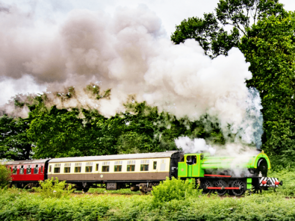 Bluey Visits! Train Tickets (Gwili, Carmarthenshire)