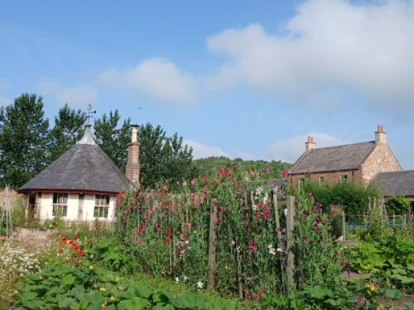 Garden Summer Workshop - Green Fingers - Working with Wildlife in the Garden- Age 5-12 years