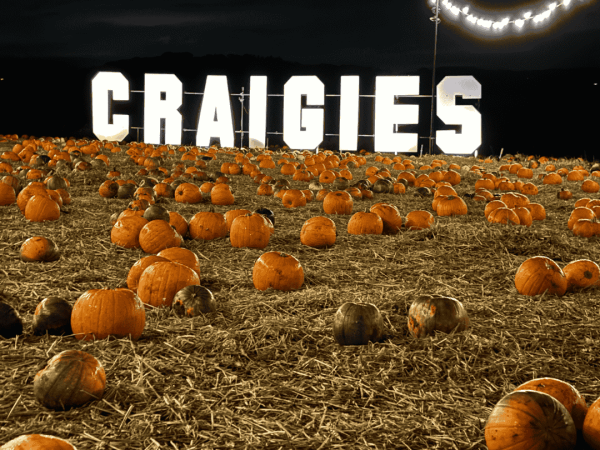 Pumpkin Festival After Dark