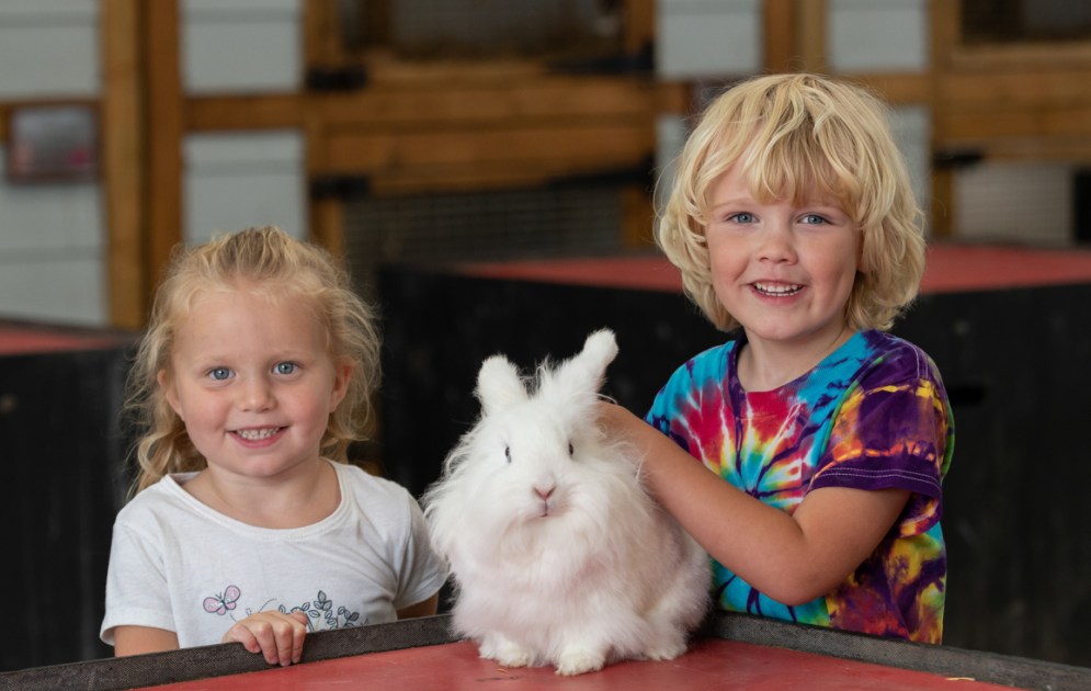 Buy School Groups Tickets online Mead Open Farm