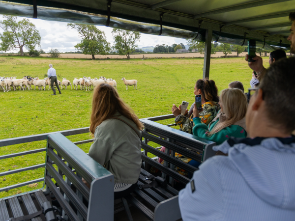 Ardardan Farm Tractor Tour