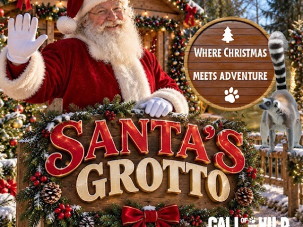 SEN Christmas Grotto 2026