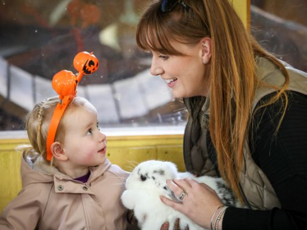 Farm Tots - Pumpkin Party - 15th, 17th & 23rd October