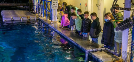 Ocean Squad Junior Marine Biologist: 11-12 Year Olds