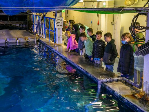 Ocean Squad Junior Marine Biologist: 11-12 Year Olds