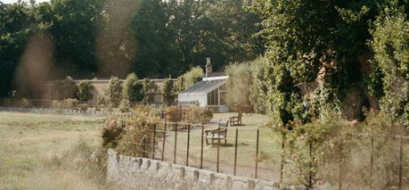 Fig & Fruit Tree Pruning Course