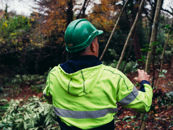 Behind the Scenes: Nature Conservation Walk