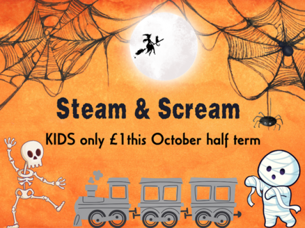 Steam & Scream Return > Boscarne Junction Return 10:45 (OPT1)