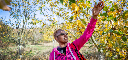 Walk & Talk: Fruits, Roots and Seeds - An Introduction to Foraging