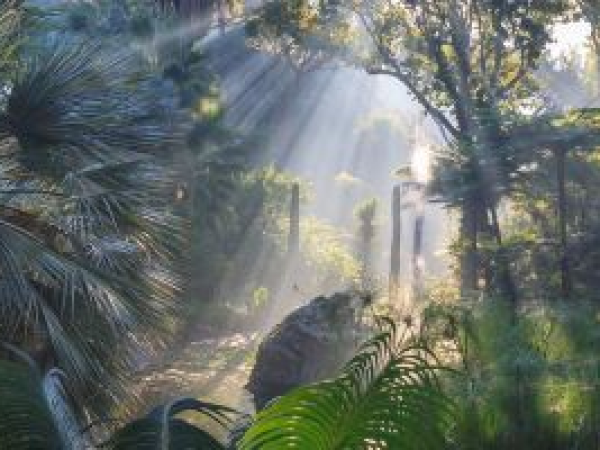 La Mortella: A Garden Rooted in Passion