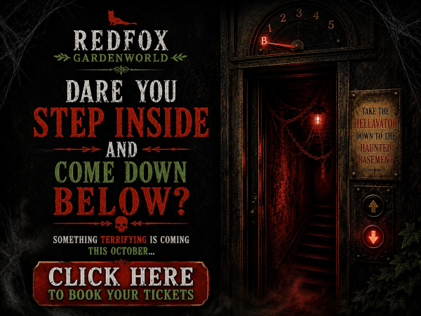 The Haunted Basement