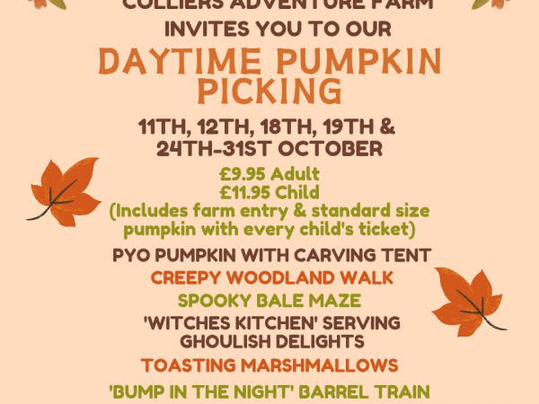 Daytime Pumpkin Event