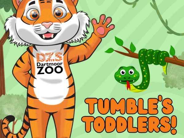 Tumble's Toddlers
