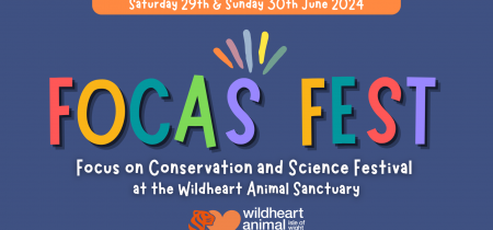 FOCAS Fest
