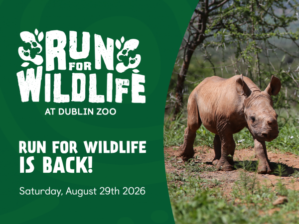 Run for Wildlife 2026