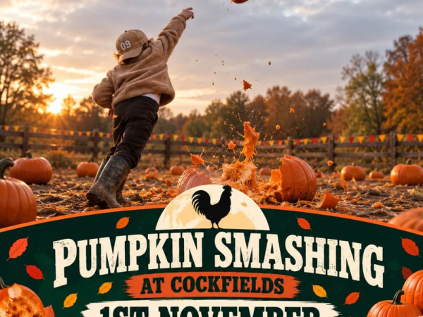 Pumpkin Smashing (1st Nov)