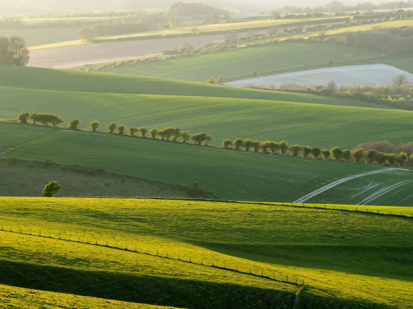 Online Talk: Sussex Literary Landscapes with Dr Geoffrey Mead