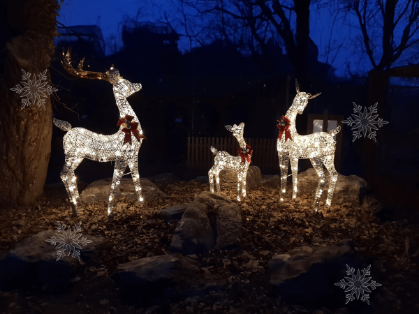 Winter Wonderland General Admission