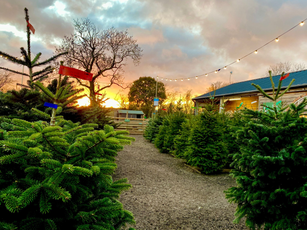 Christmas Weekend Tickets
