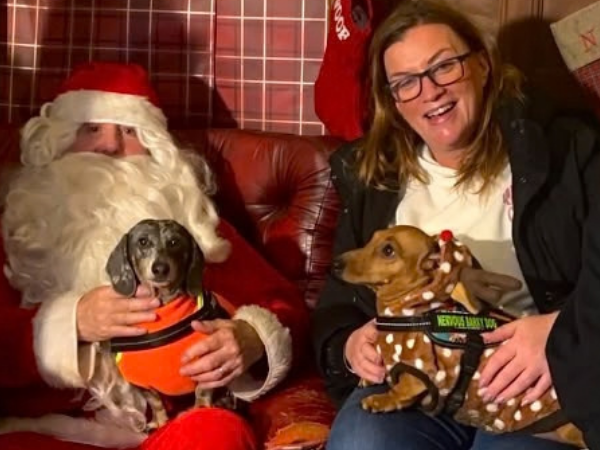 Ted (age 6) and Deano (age 5) the dachshunds meeting Santa Paws with their feeder Katrina (age 51)