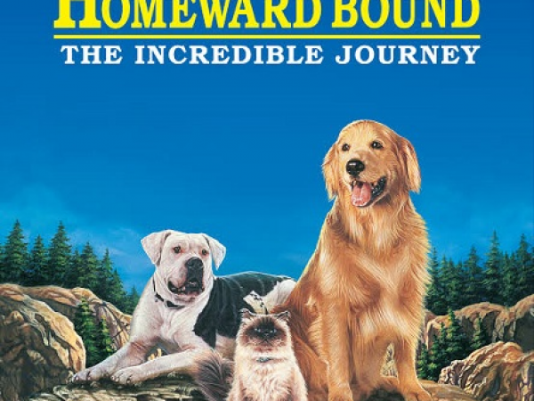 Homeward Bound: The Incredible Journey