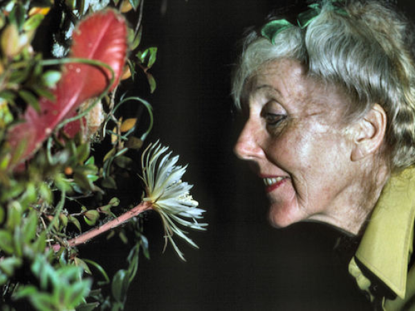 Margaret Mee and the Moonflower