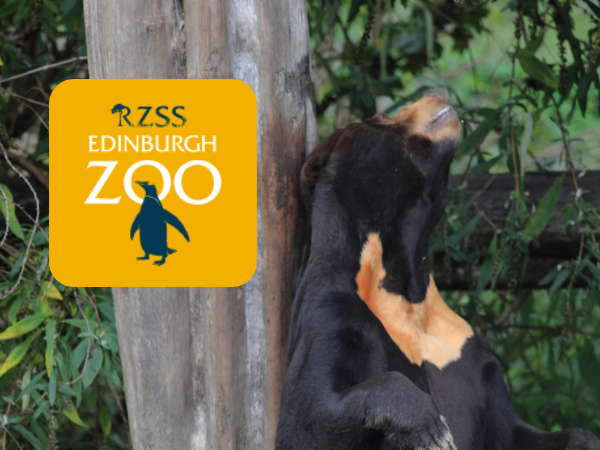 BIAZA Bear Husbandry Workshop