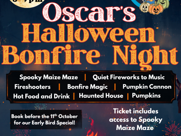 Halloween Bonfire Night