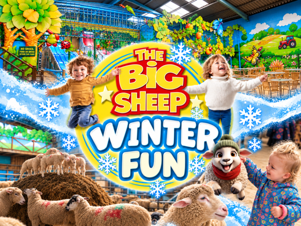 Winter Term Time 7th Nov - 18th Dec