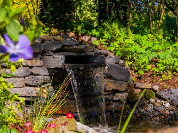 Lessons from Nature with Colm O’Driscoll