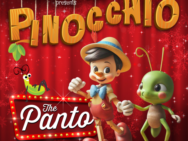 A Poster for Pinnochio The Panto at National Coal Mining Musuem