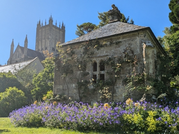 An image of the Well House and Wells Cathedral taken from the gardens at The Bishop's Palace.arly