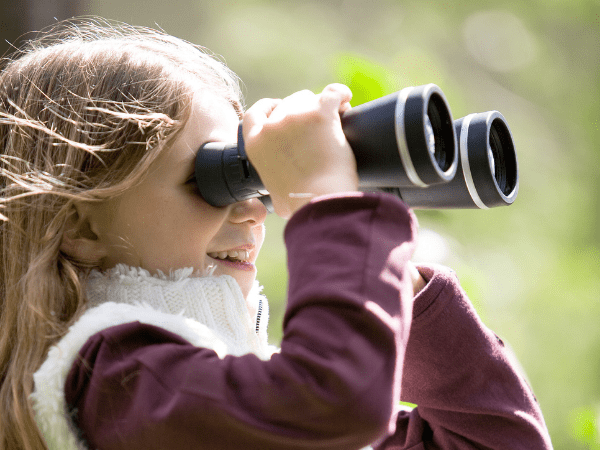 Home Education Day :The Great Home Educators Bird Watch