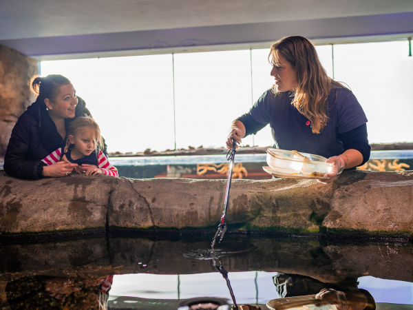 Home Educator Wednesdays