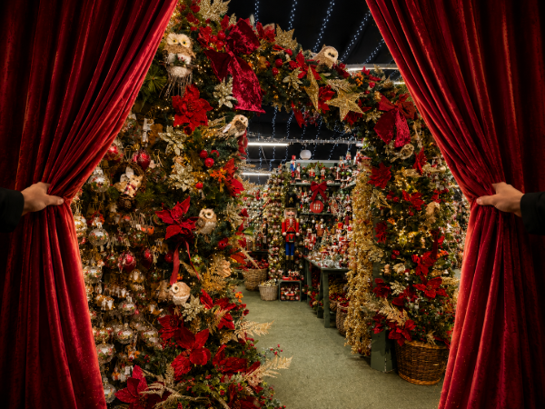 CHRISTMAS PREVIEW EVENING