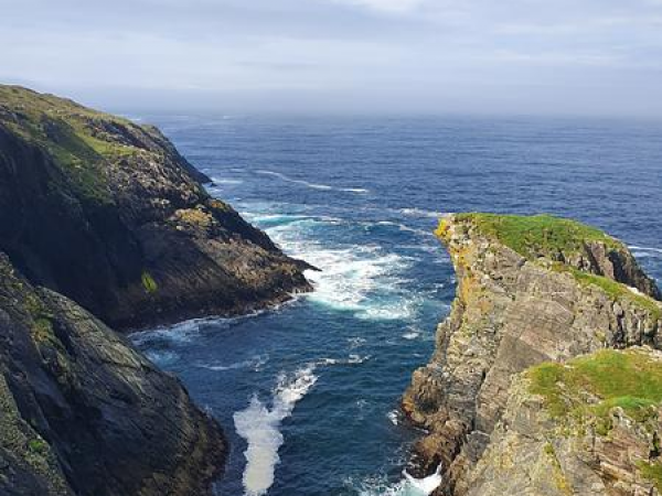 Coastal Curiosity Inishbofin East - Summer Edition