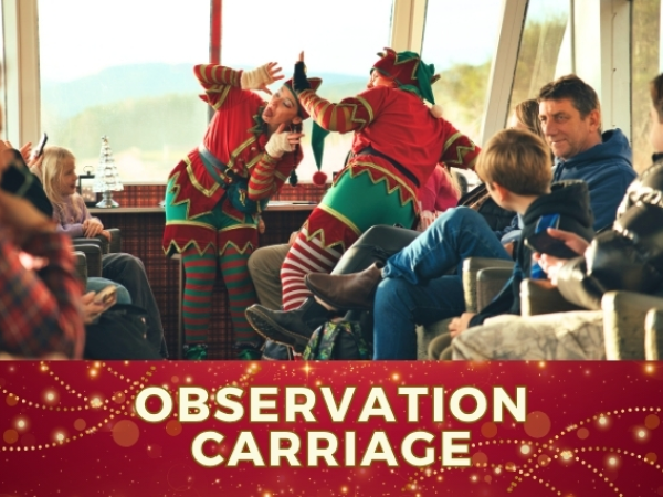 Santa's Elf Express - Observation Carriage