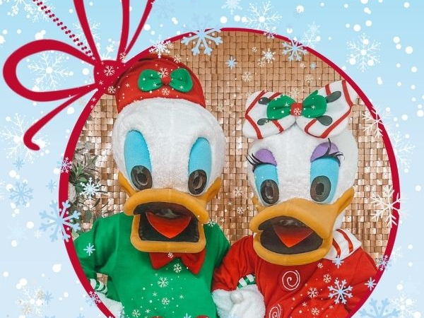 Dazzling Ducks - Tuesday 22 December