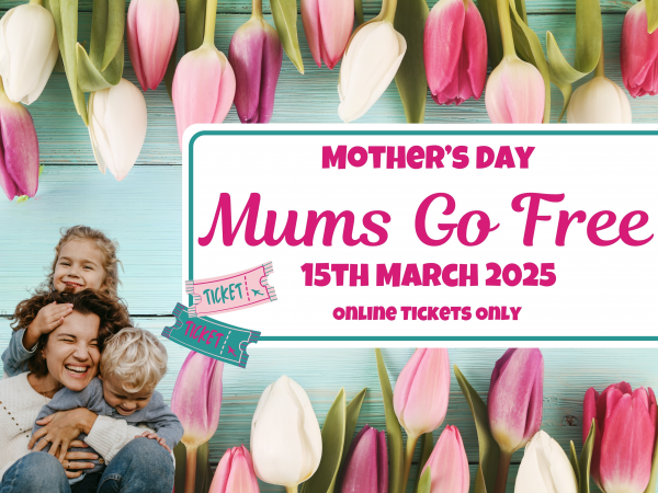 ONLINE OFFER Mother's Day 15th March 2026