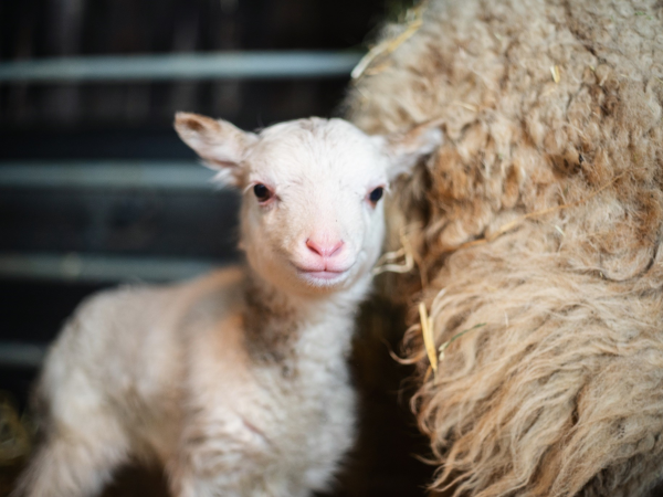 General Admission 2026