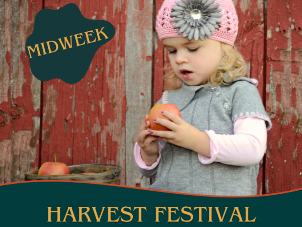 Harvest Festival - Midweek