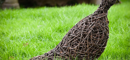 Pheasant Willow Weaving with Emma Stothard 2025