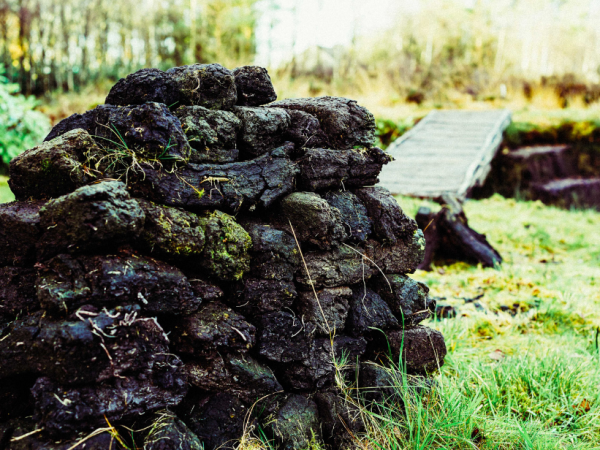 Bogland: Past, Present, Future